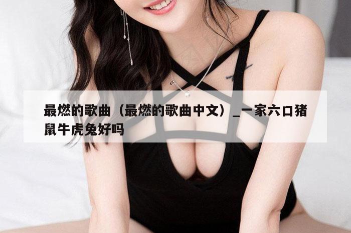 最燃的歌曲(最燃的歌曲中文)_一家六口猪鼠牛虎兔好吗